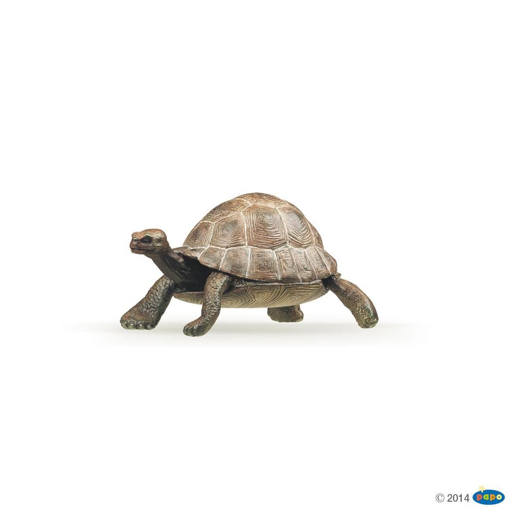 Tortue , Figurine de La Vie Sauvage Papo