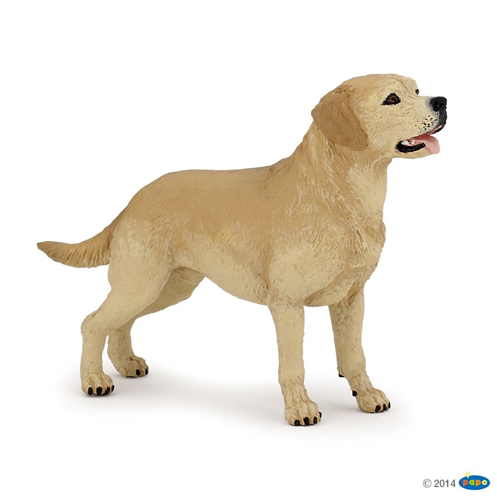 Labrador, Figurine des Chiens & Chats de compagnie Papo