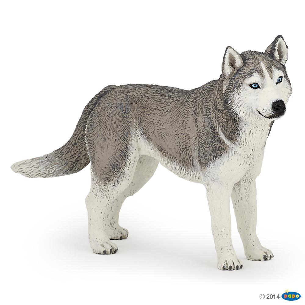 Husky de Sibérie, Figurine des Chiens & Chats de compagnie Papo