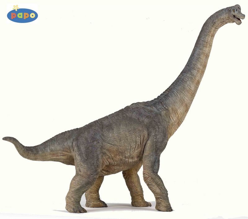 Brachiosaure, Figurine des Dinosaures Papo