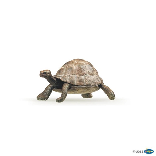 [PAP_50013] Tortue , Figurine de La Vie Sauvage Papo