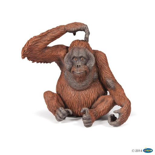 [PAP_50120] Orang-outan, Figurine de La Vie Sauvage Papo