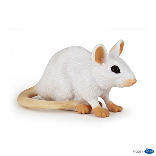 [PAP_50222] Souris blanche, Figurine de La Vie Sauvage Papo