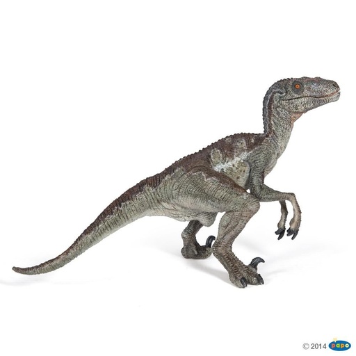 [PAP_55023] Vélociraptor, Figurine des Dinosaures Papo