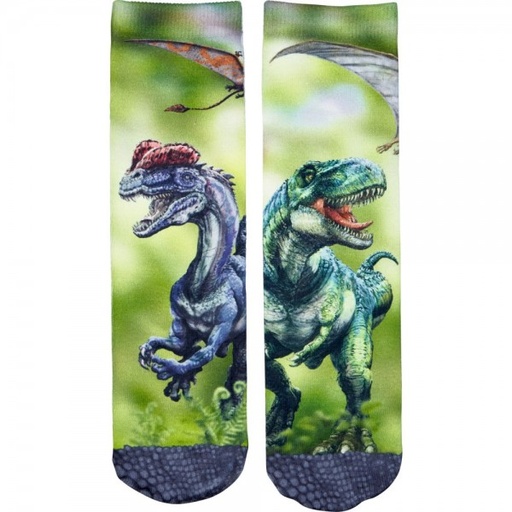 [AXE_15920] Chaussettes T-Rex